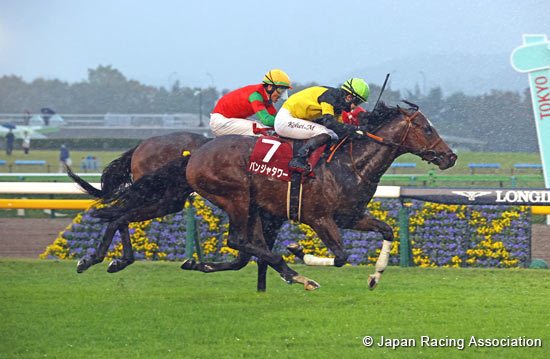 Keio Hai Nisai Stakes (G2)