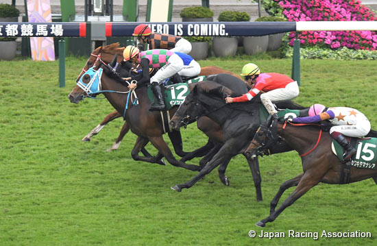 KBS Kyoto Sho Fantasy Stakes (G3)