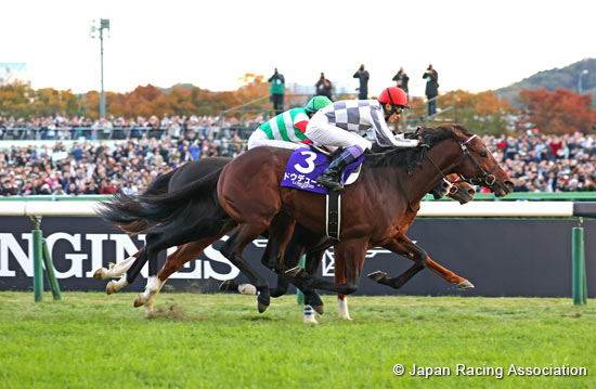 Japan Cup in association with LONGINES (International Invitational) (G1)