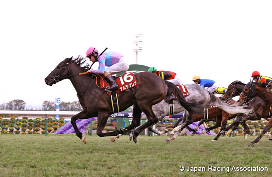 Hanshin Cup (G2)