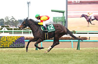 Fairy Stakes (G3)