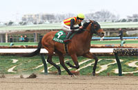 Negishi Stakes (G3)