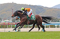 Kokura Jump Stakes (J-G3)