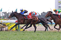 Kyoto Kinen (G2)