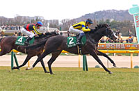 Kyodo News Hai (Tokinominoru Kinen) (G3)