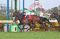 Nakayama Kinen (G2)