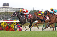 Hochi Hai Fillies' Revue (Japanese 1000 Guineas Trial) (G2)