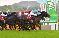 TV Tokyo Hai Aoba Sho (Japanese Derby Trial) (G2)