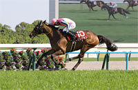 Yomiuri Milers Cup (G2)
