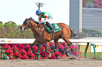 Unicorn Stakes (G3)