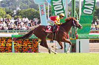 Keio Hai Spring Cup (G2)