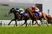 Tenno Sho (Spring) (G1)