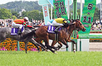 NHK Mile Cup (G1)