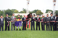 NHK Mile Cup (G1)