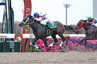 Heian Stakes (G3)