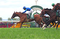 Aoi Stakes (G3)