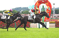 Tokyo Yushun (Japanese Derby) (G1)