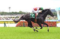 Tokyo Jump Stakes (J-G3)