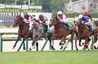 Hakodate Sprint Stakes (G3)