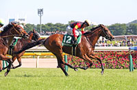 Fuchu Himba Stakes (G3)