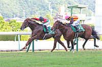 Tanabata Sho (G3)