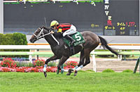 Hakodate Nisai Stakes (G3)
