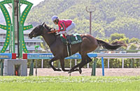 Kokura Kinen (G3)
