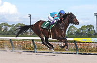 Tokai Stakes (G3)