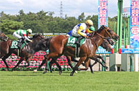 Sekiya Kinen (G3)