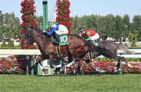 Hokkaido Shimbun Hai Queen Stakes (G3)