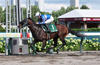 Elm Stakes (G3)