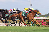 Chukyo Kinen (G3)