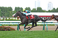 Sapporo Kinen (G2)