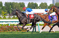 2025 World All-Star Jockeys 2nd Leg