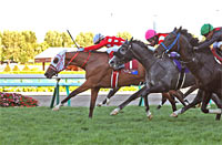 2025 World All-Star Jockeys 4th Leg