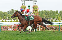 Sapporo Nisai Stakes (G3)