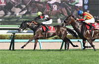 Shion Stakes (Shuka Sho Trial) (G2)