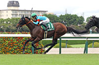 Challenge Cup (G3)