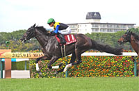 Kansai Television Co. Ltd. Sho Rose Stakes (Shuka Sho Trial) (G2)