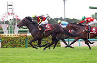 Asahi Hai St. Lite Kinen (Japanese St. Leger Trial) (G2)