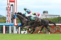 Hanshin Jump Stakes (J-G3)
