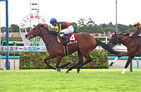 Sankei Sho All Comers (G2)