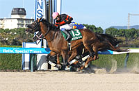 Sirius Stakes (G3)