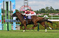 Sprinters Stakes (G1)