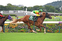 Saudi Arabia Royal Cup (G3)