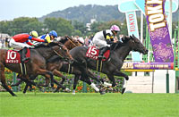 Ireland Trophy (G2)