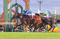 MBS Sho Swan Stakes (G2)