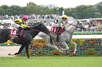 Fuji Stakes (G2)