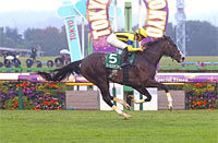 Artemis Stakes (G3)