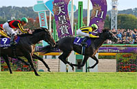 Tenno Sho (Autumn) (G1)